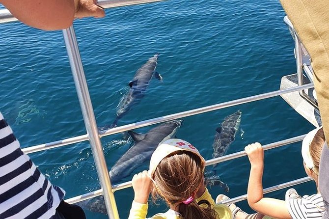From Lagos: Dolphin Watching Cruise on a Catamaran - Leaving Lagos Marina for the Atlantic