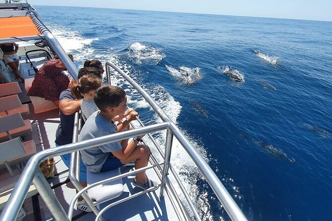 From Lagos: Dolphin Watching Cruise on a Catamaran - Why the 90-minute length feels about right