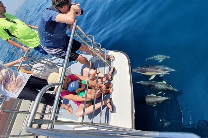 From Lagos: Dolphin Watching Cruise on a Catamaran - Sea conditions, comfort, and seasickness