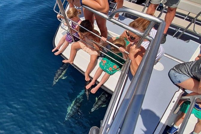 From Lagos: Dolphin Watching Cruise on a Catamaran - Families, older passengers, and wheelchair users