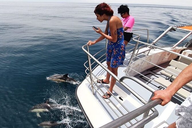 From Lagos: Dolphin Watching Cruise on a Catamaran - Timing, cancellation, and simple planning