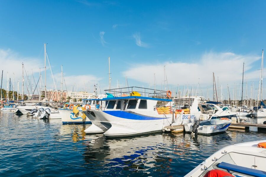 From Lagos: Kayaking and Boat Cave Explorer Tour - The swim stop and return to Lagos