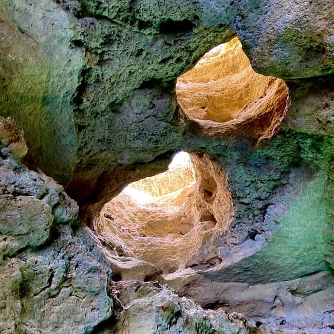 From Lagos: Scenic Cruise to the Benagil and Carvoeiro Caves - Who should book this cruise?