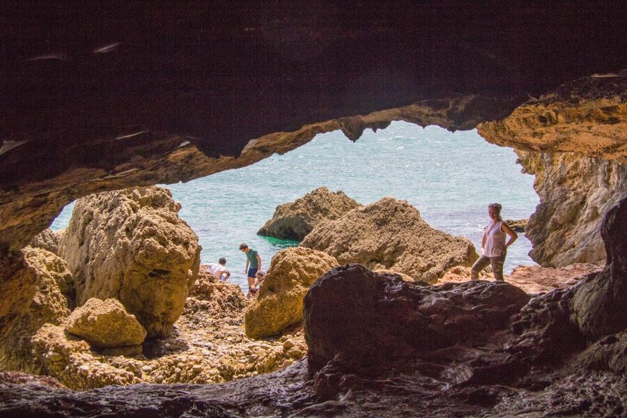 From Lisbon: Arrábida Day Tour & Wine Tasting - Five things worth knowing before you book