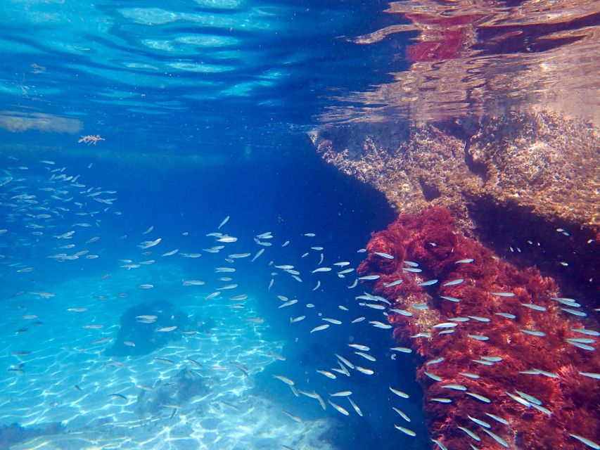 From Lisbon: Arrábida Natural Park Kayak Tour with Lunch - Is $57 good value for a full day?