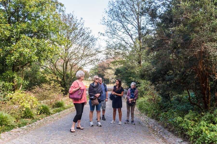From Lisbon: Best of Sintra and Cascais Guided Day Tour - Reaching Pena Palace through the Sintra Hills