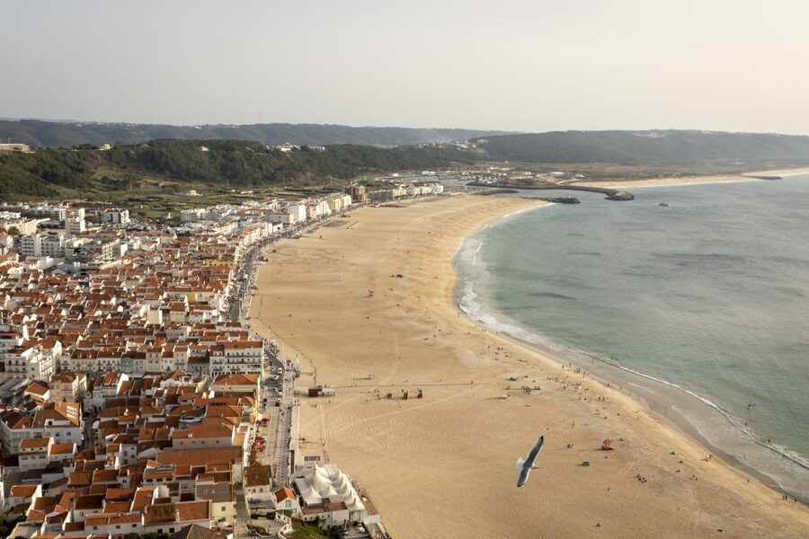 From Lisbon: Day Trip to Porto, Óbidos, and Nazaré - The Long Bus Hours Matter