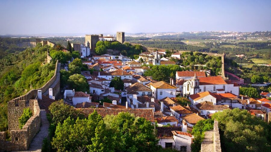 From Lisbon: Fátima, Batalha, Nazaré & Óbidos Full-Day Tour - The minivan, pickup, and guide quality