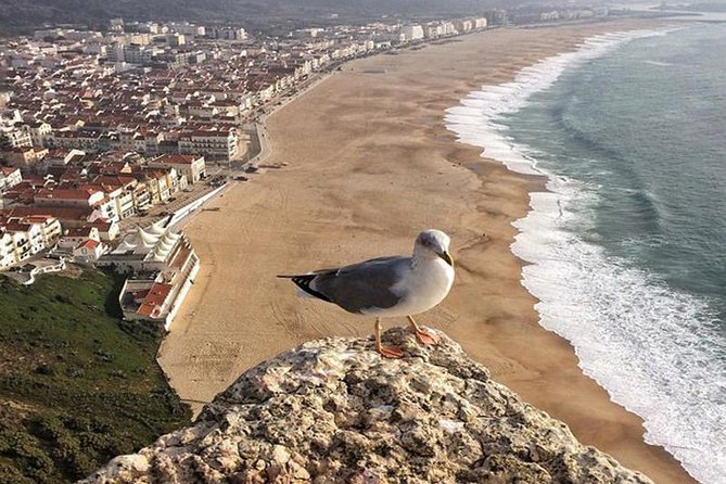 From Lisbon: Fatima Batalha Nazare & Obidos Small Group Day Trip - Batalha Monastery and Portugal’s military past