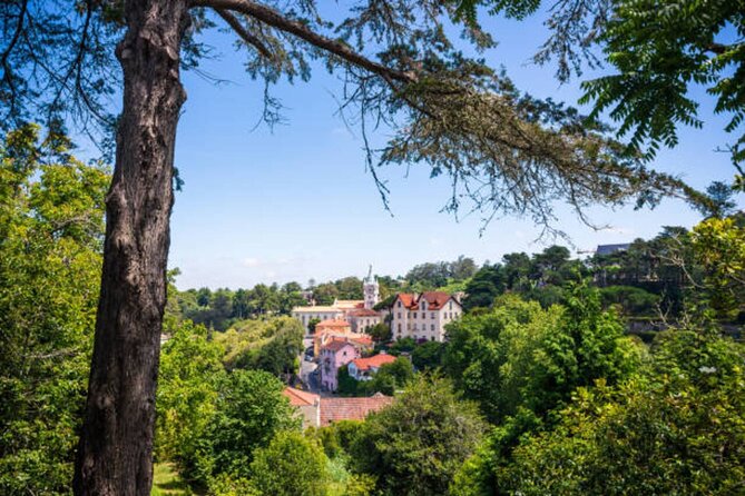 From Lisbon: Sintra, Pena Palace & Wine Tasting Small-Group Tour - Sintra town: a taste, not a full exploration