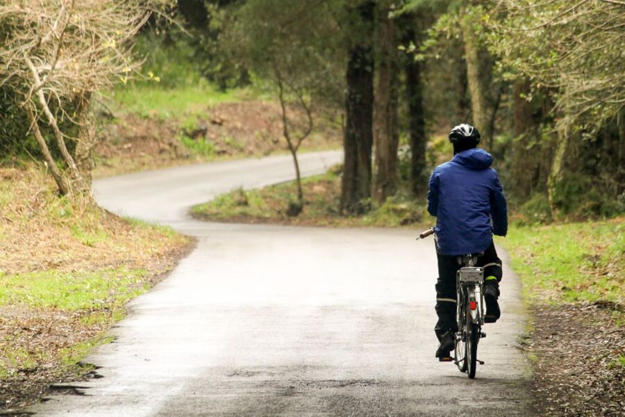 From Lisbon: Sintra to Cascais Full-Day Guided E-Bike Tour - The climb to Peninha Sanctuary at 488 meters