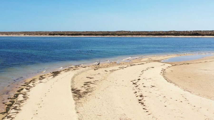 From Olhão: Ria Formosa 3-Island Full-Day Tour - Wildlife, tides, and the view from the water