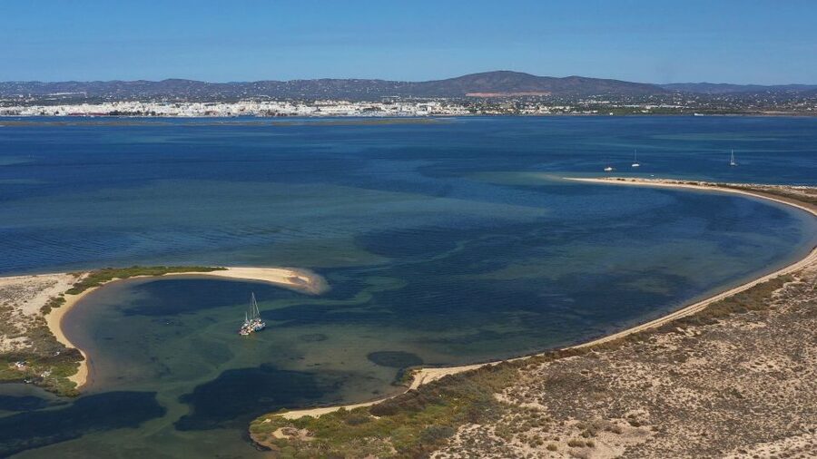 From Olhão: Ria Formosa 3-Island Full-Day Tour - How much value do you get for $45?