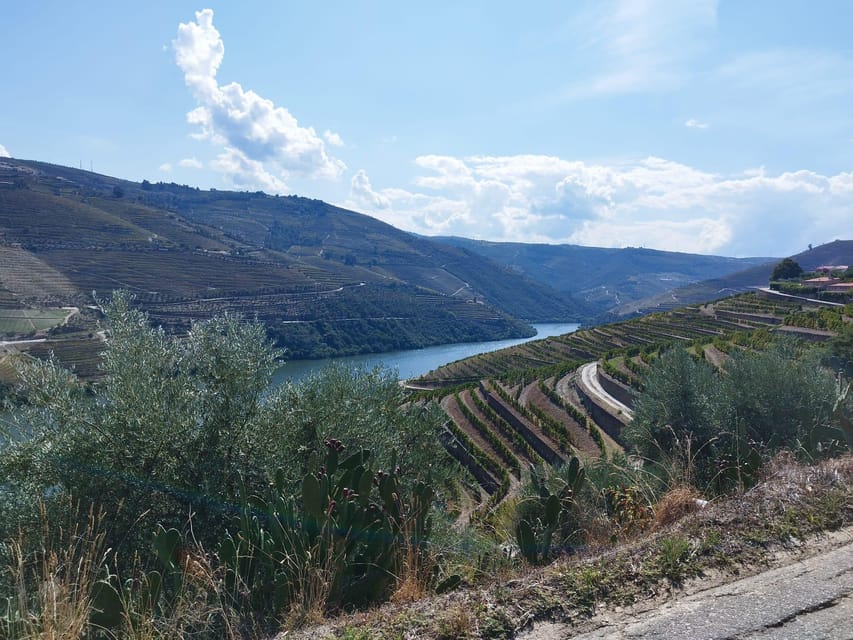 From Pinhão: Douro Valley Tour w/ Wine Tasting and Boat Trip - What $64 buys you