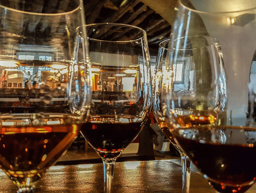 From Pinhão: Douro Valley Tour w/ Wine Tasting and Boat Trip - Small groups, languages, and guide quality