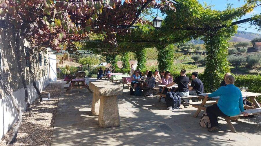 From Pinhão: Douro Valley Tour w/ Wine Tasting and Boat Trip - Who should book this three-hour outing
