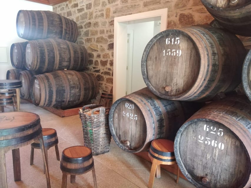 From Pinhão: Douro Valley Tour w/ Wine Tasting and Boat Trip - Tips for getting more from the tour
