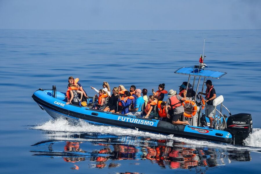 From Ponta Delgada: Whale and Dolphin Watching Trip - Why Ponta Delgada is such a good whale-watching base