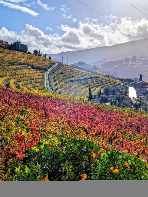 From Porto: 2 Wine Regions, Farm-to-Table Lunch & Boat - Is $127 a fair price?