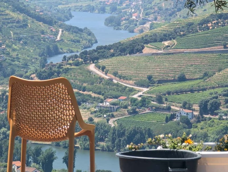 From Porto: 2 Wine Regions, Farm-to-Table Lunch & Boat - A generous lunch with traditional Douro food