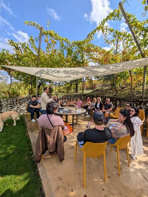 From Porto: 2 Wine Regions, Farm-to-Table Lunch & Boat - Free time in Pinhão before the river cruise