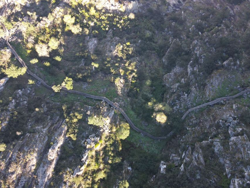 From Porto: Arouca 516 and Paiva Walkways Guided Day Trip - Is $135 good value?