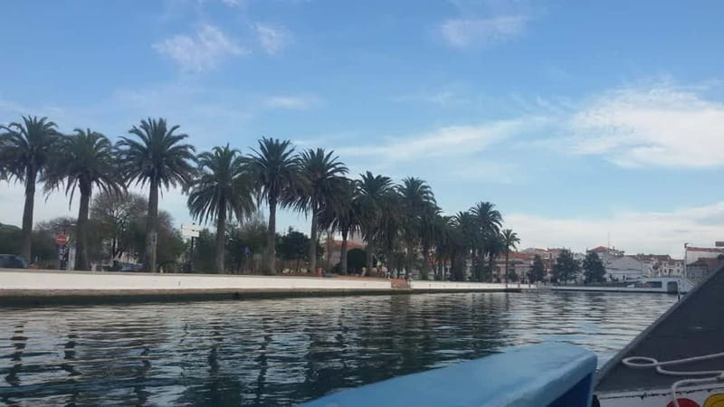 From Porto: Aveiro & Coimbra Tour with Moliceiro Boat Cruise - Why this Aveiro and Coimbra day trip works
