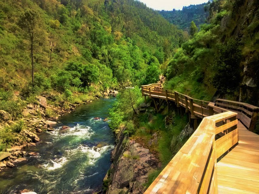 From Porto: Aveiro, Paiva Walkways and Arouca 516 Footbridge - Price, timing, and what the $142 covers