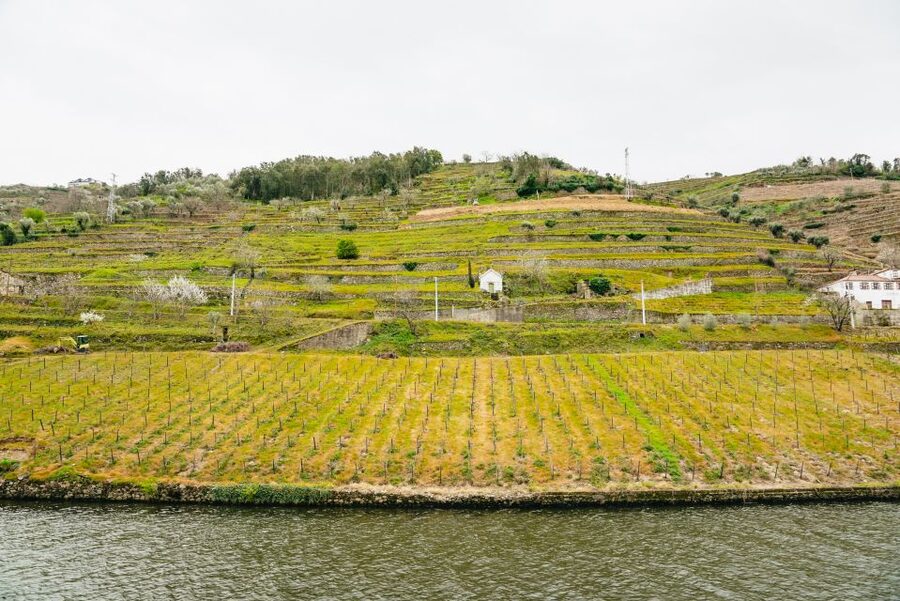 From Porto: Douro River Cruise to Régua with Lunch - Lunch with wine while the valley passes by