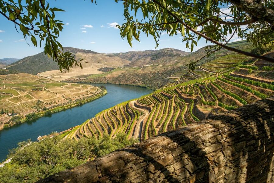 From Porto: Douro Valley Tour with Tastings, Boat & Lunch - Who will enjoy this day most