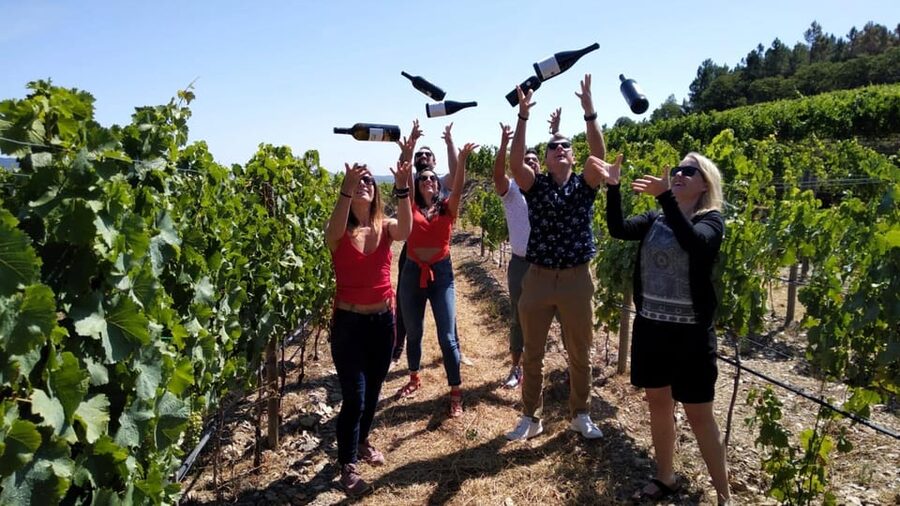 From Porto: Douro Valley Tour with Tastings, Boat & Lunch - The first family winery and a closer look at local wine