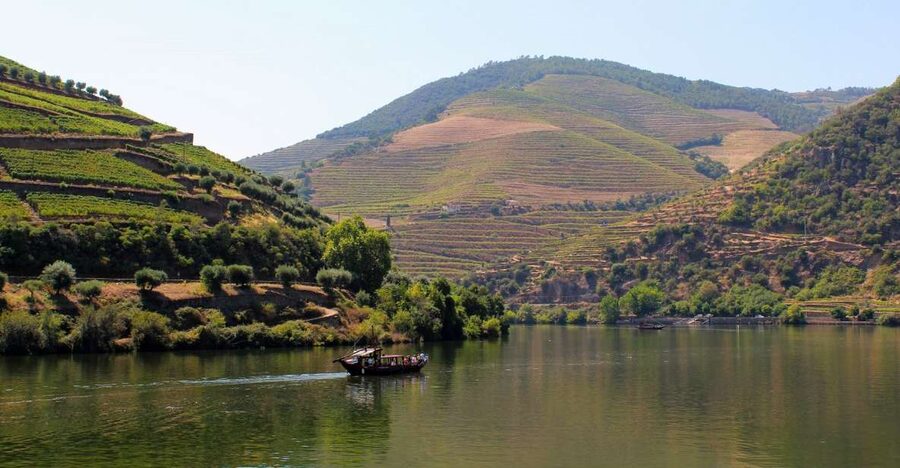 From Porto: Douro Valley Tour with Tastings, Boat & Lunch - Lunch with Douro wine and regional food