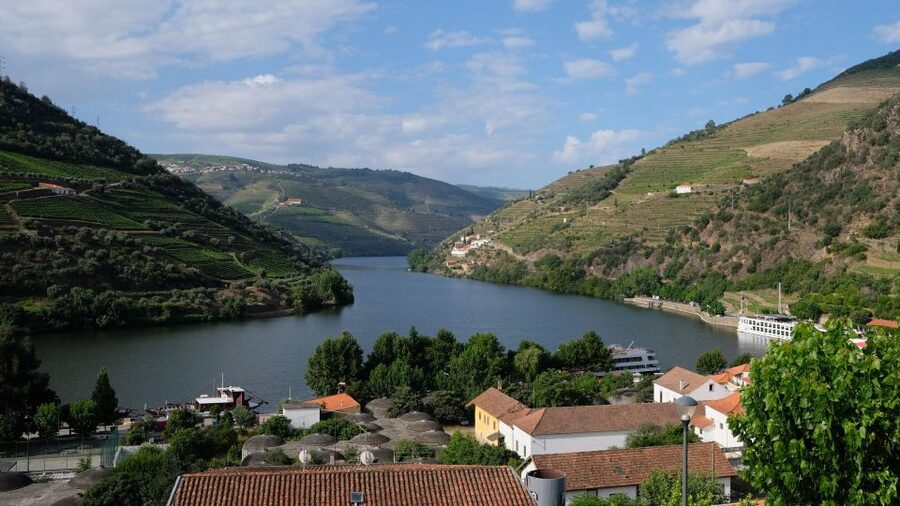 From Porto: Douro Valley Tour with Tastings, Boat & Lunch - The first viewpoint and the Douro’s vineyard terraces