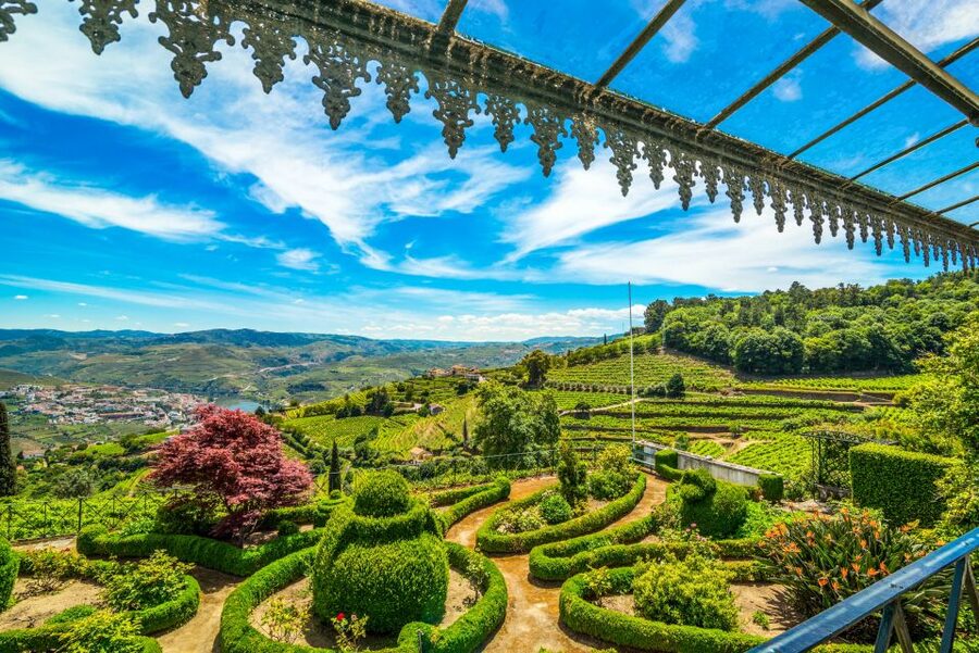 From Porto: Douro Valley w/ Boat Tour, Wine Tasting & Lunch - The second wine stop near Pinhão