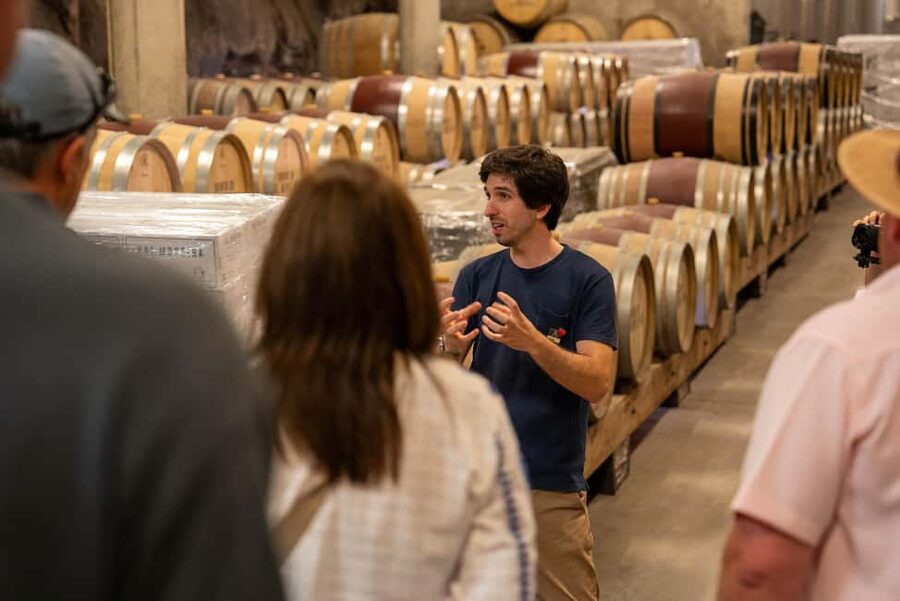 From Porto: Douro Valley Wine Tour with Lunch and Cruise - Guides, Group Size, and the Human Side of the Day