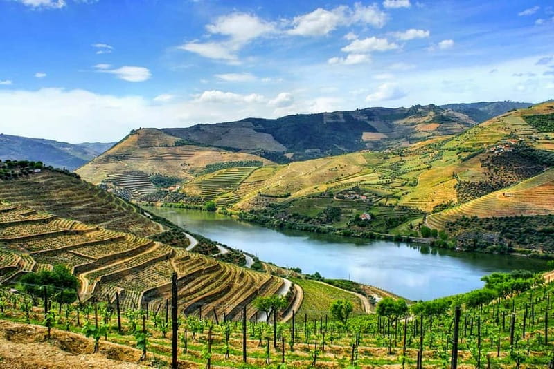 From Porto: Douro Valley with Wineries, Lunch and Boat Trip - Key points at a glance