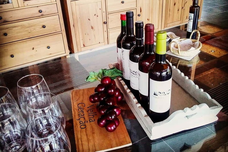From Porto: Douro Valley with Wineries, Lunch and Boat Trip - The first road section and Peso da Régua