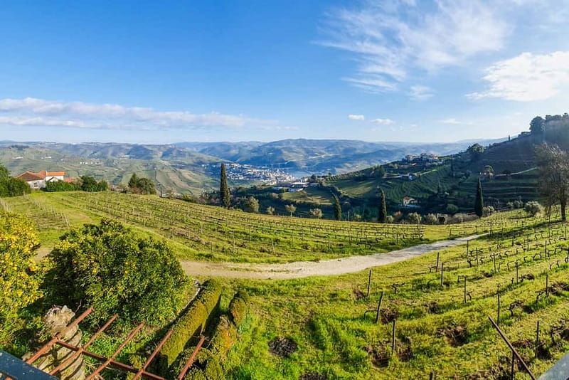 From Porto: Douro Valley with Wineries, Lunch and Boat Trip - The 50-minute Rabelo boat cruise