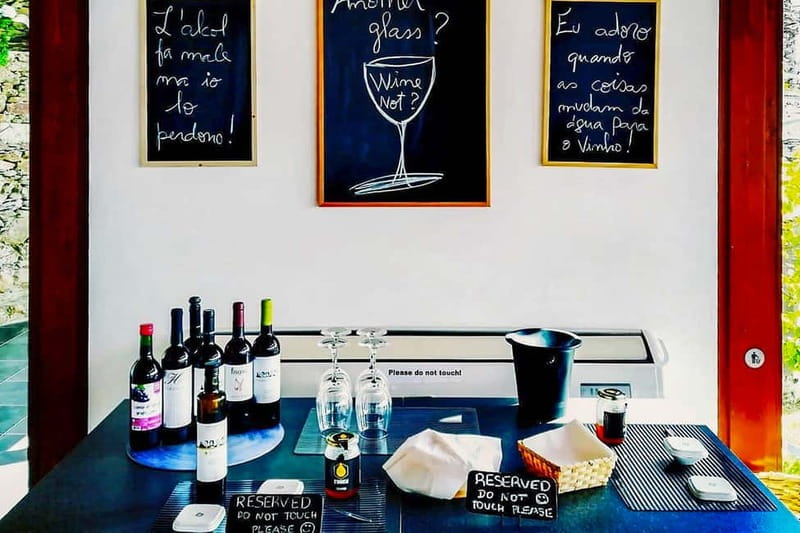 From Porto: Douro Valley with Wineries, Lunch and Boat Trip - What the $171 price really covers