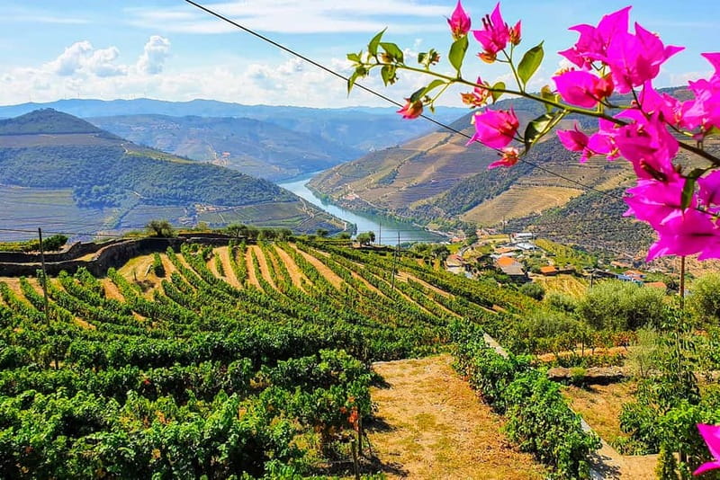 From Porto: Douro Valley with Wineries, Lunch and Boat Trip - Starting in Porto at Igreja da Lapa