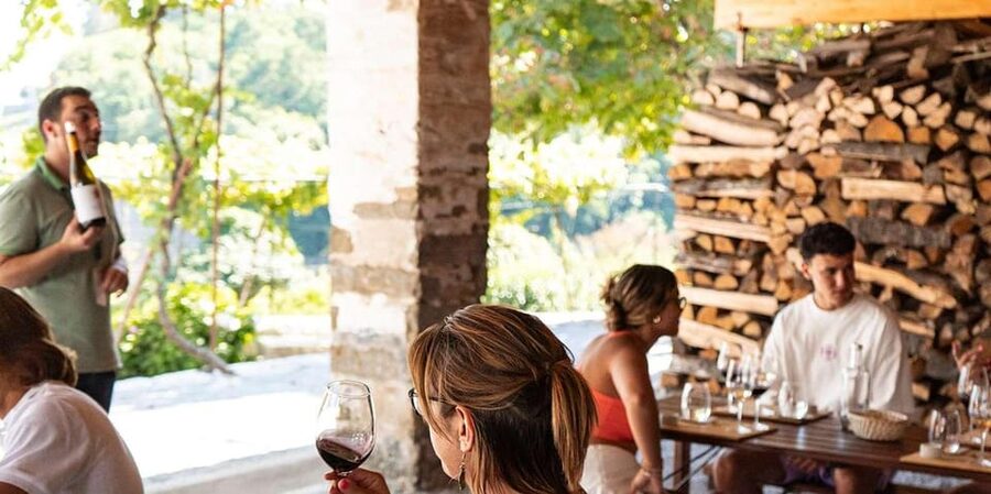 From Porto: Full-Day Douro Valley Trip - Guides, group size, and the feel of the day