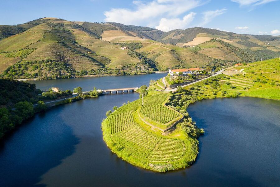From Porto: Full-Day Douro Valley Trip - Why the Douro Valley deserves a full day from Porto