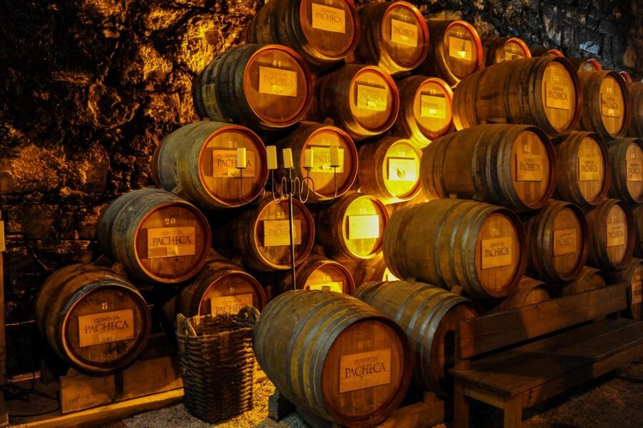 From Porto: Full-Day Douro Valley Trip - The first estate: tasting port at the source