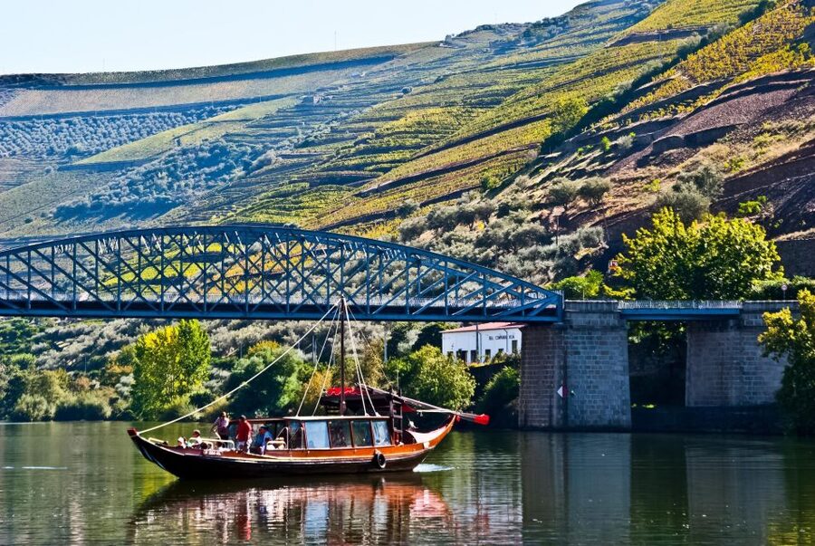 From Porto: Full-Day Douro Valley Trip - Lunch in a wine cellar with Douro pairing