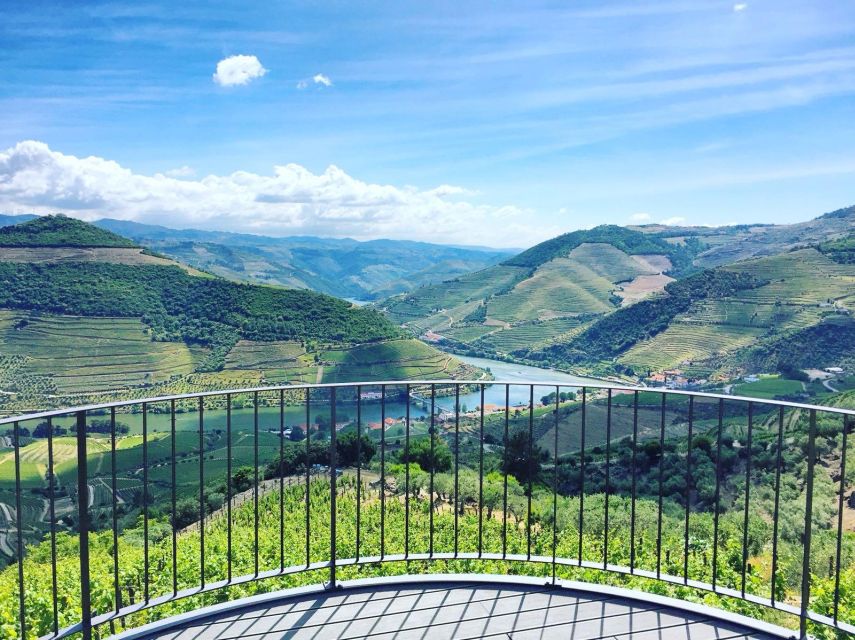 From Porto: Full-Day Douro Valley Trip - Final viewpoints and the long ride home
