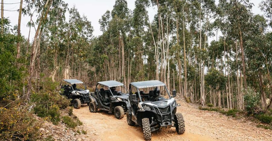 From Porto: Off-Road Buggy Adventure - Why this is a different kind of Porto outing