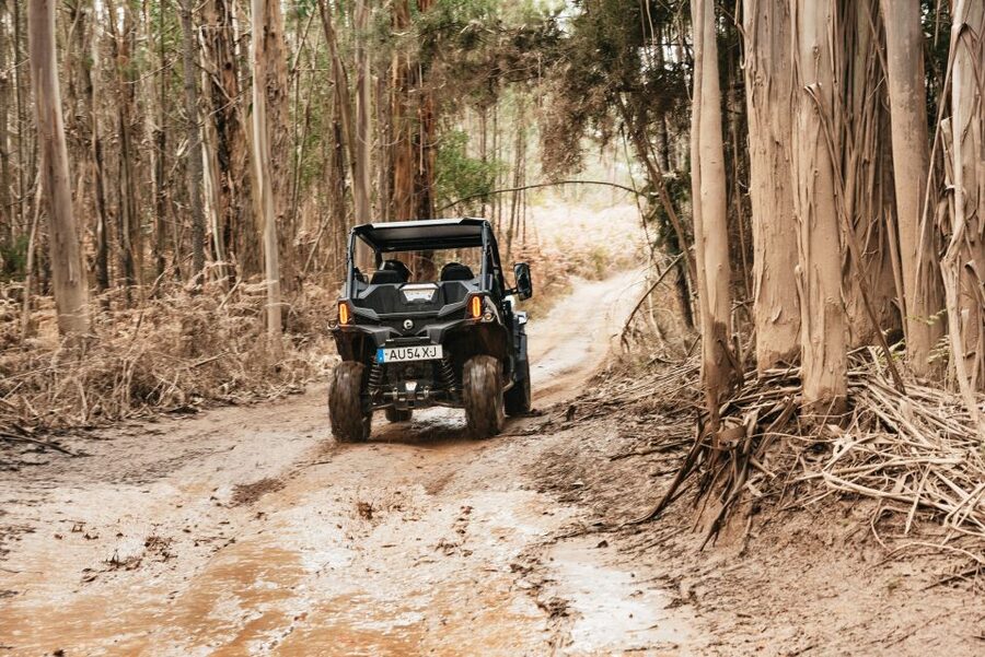 From Porto: Off-Road Buggy Adventure - The first viewpoint and the Serras do Porto