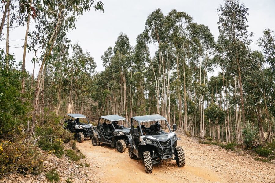 From Porto: Off-Road Buggy Adventure - Quintandona’s schist houses