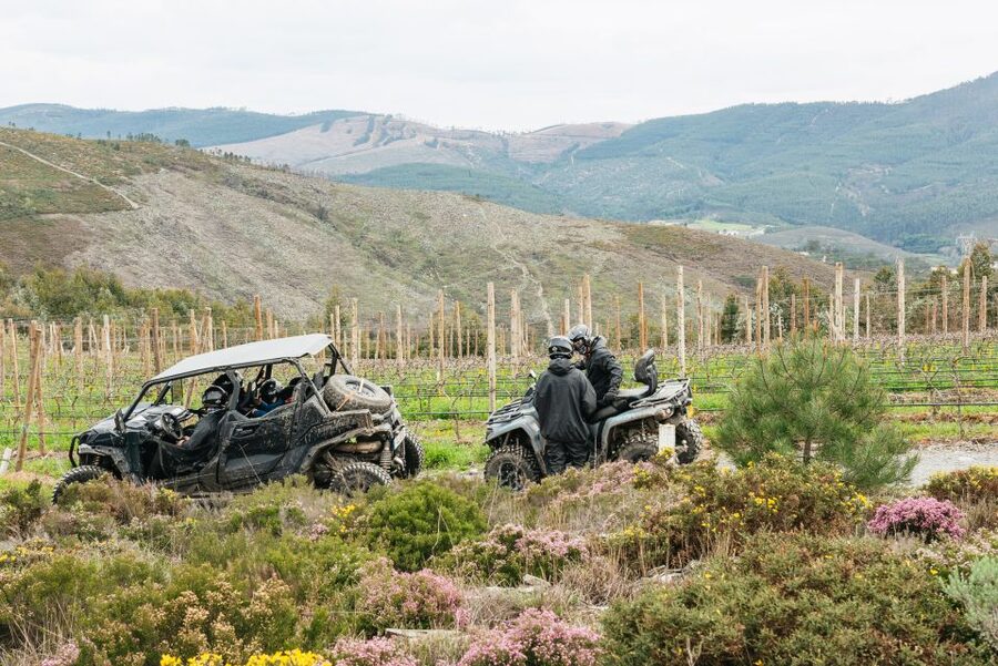 From Porto: Off-Road Buggy Adventure - Getting to the Oporto Buggy Adventure office