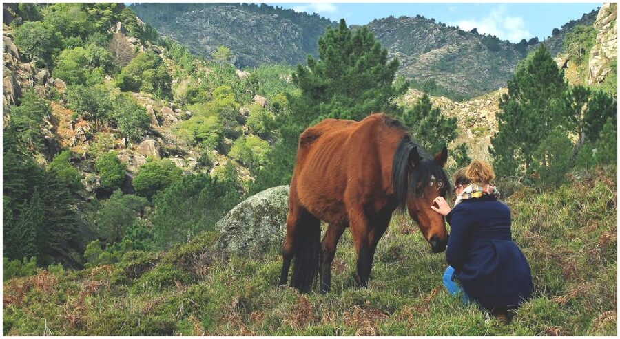 From Porto: Peneda-Gerês National Park Tour with Lunch - Who Will Enjoy This Trip Most
